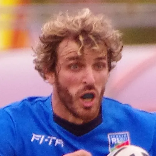 Mirco Bergamasco